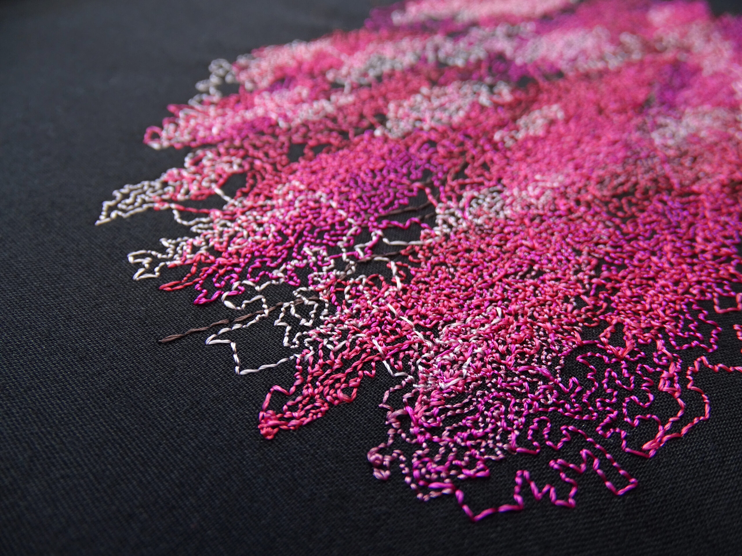 Reef Photo Stitch close up