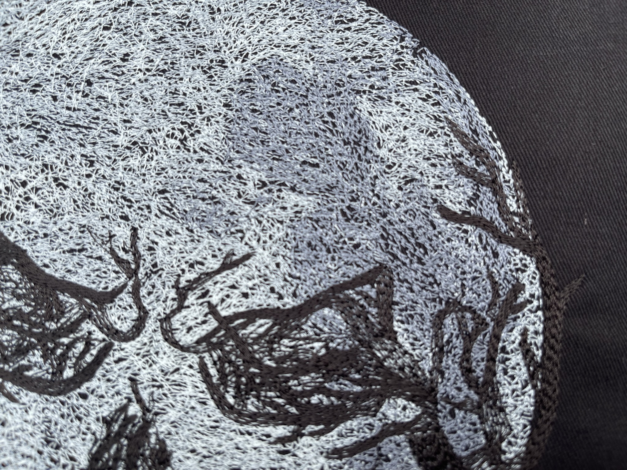 Wilcom's Color Photo Stitch