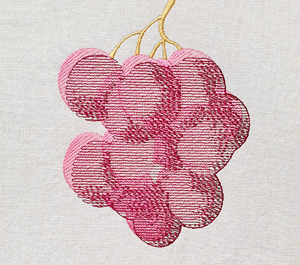 EmbroideryStudio Digital Edition - Photo Flash