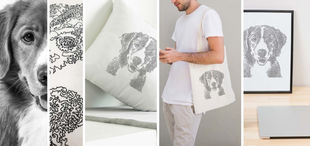 Reef Photo Stitch Dog image