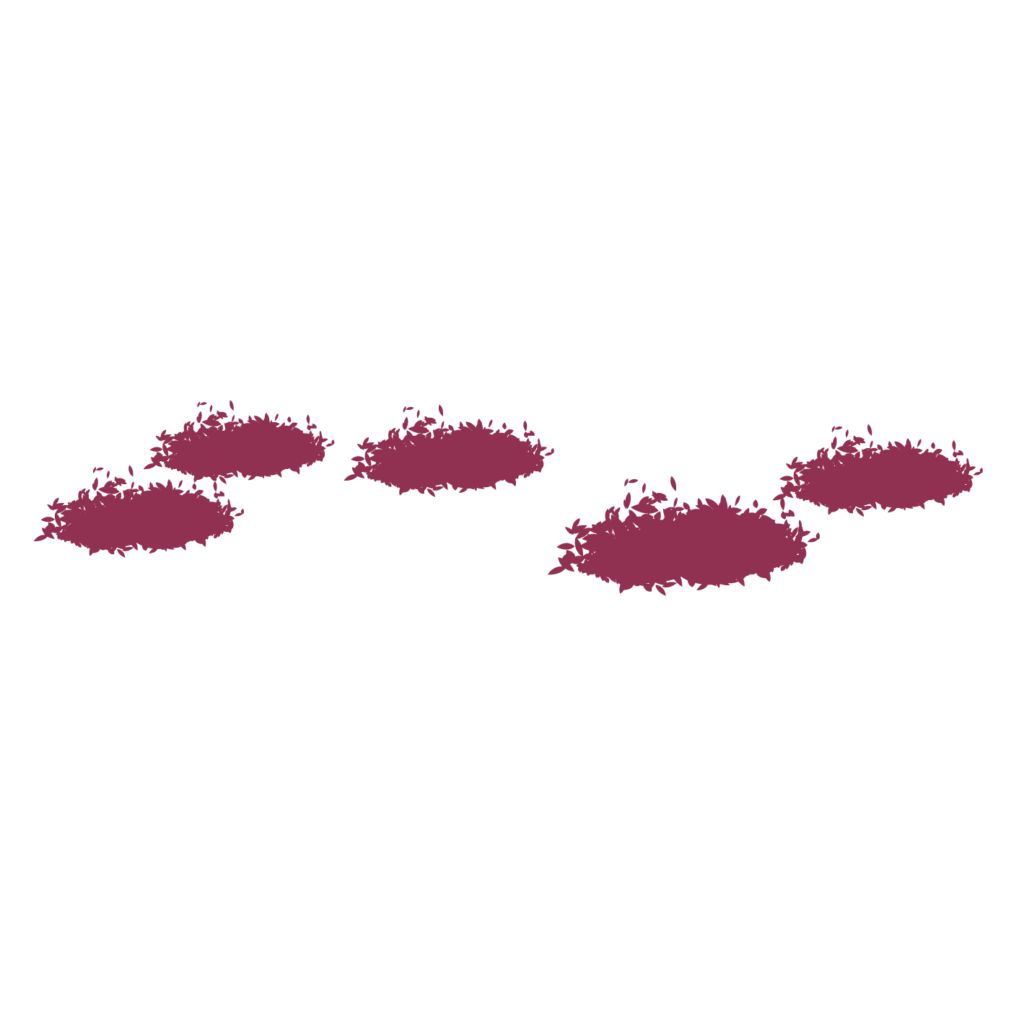 Cherry Blossom layer 1