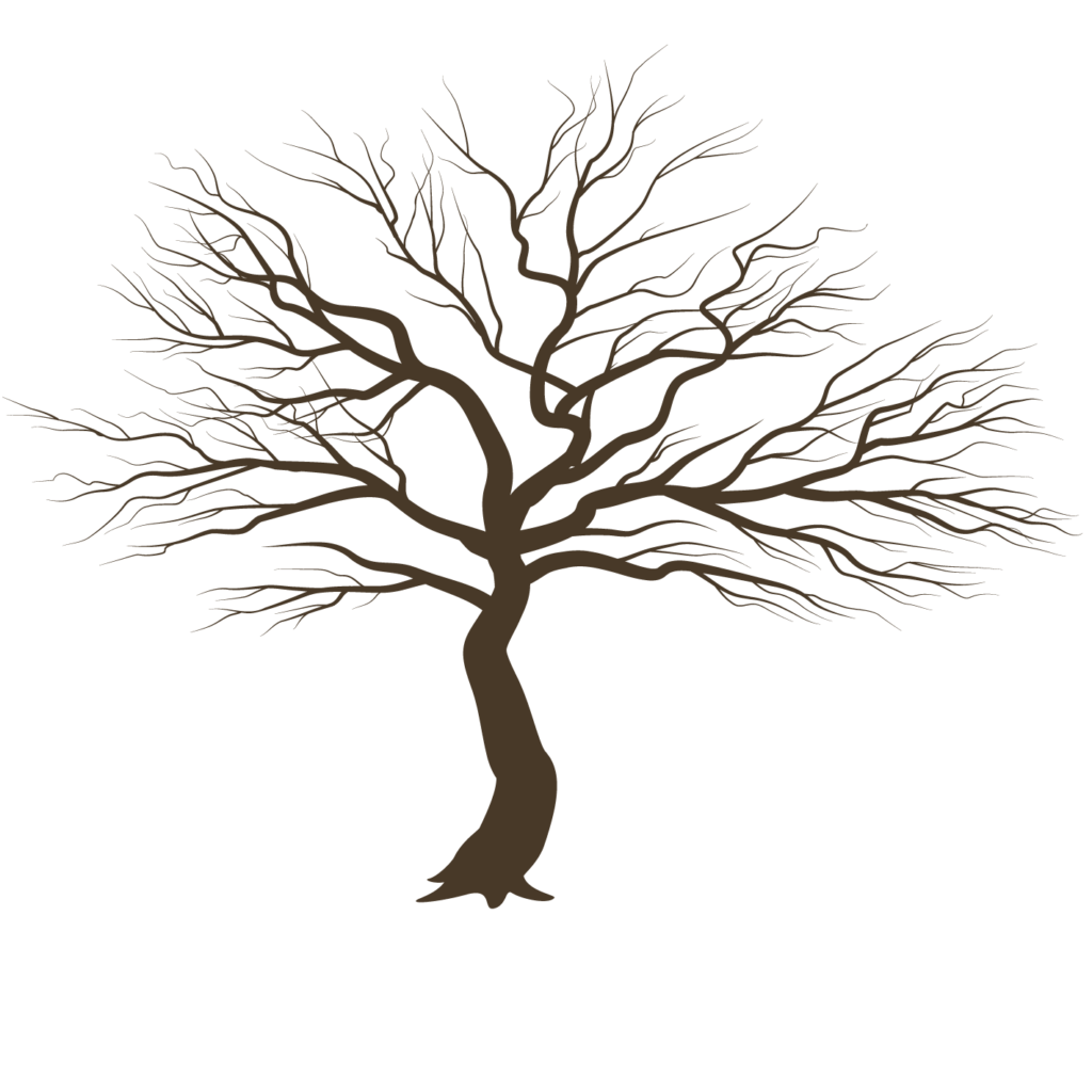 Cherry Blossom layer 2