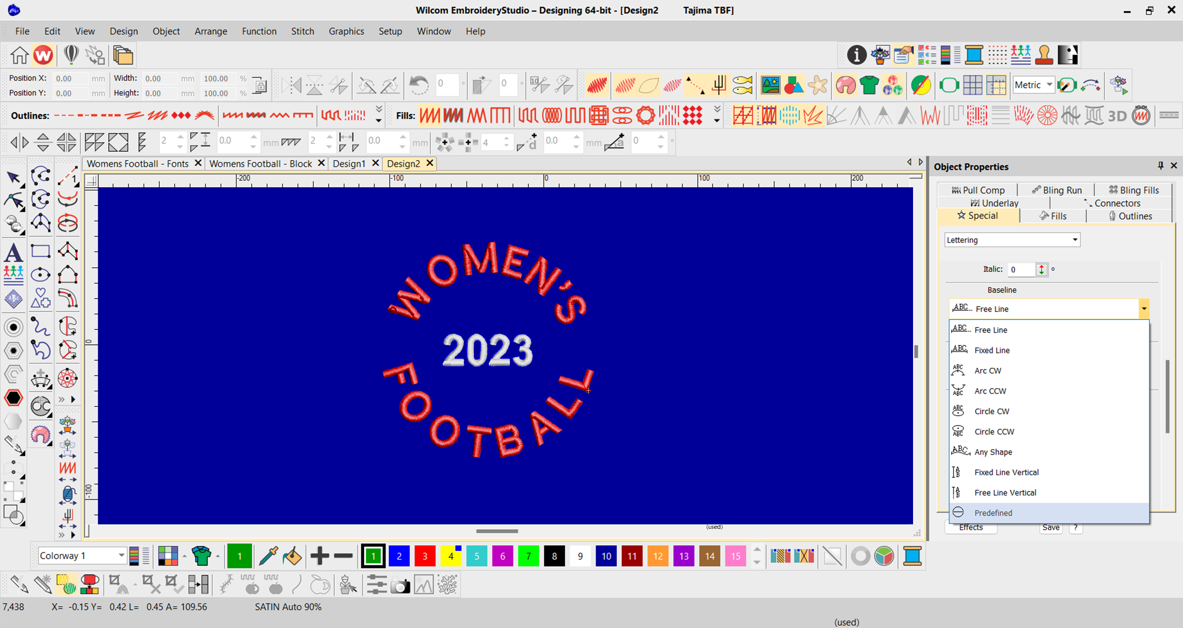 Women's World Cup Football